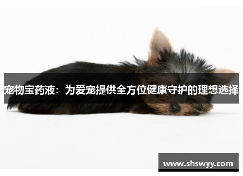 宠物宝药液：为爱宠提供全方位健康守护的理想选择