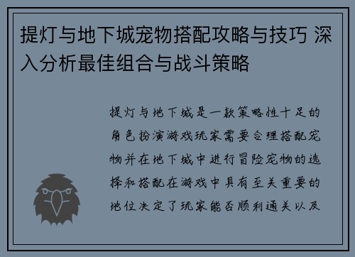 提灯与地下城宠物搭配攻略与技巧 深入分析最佳组合与战斗策略